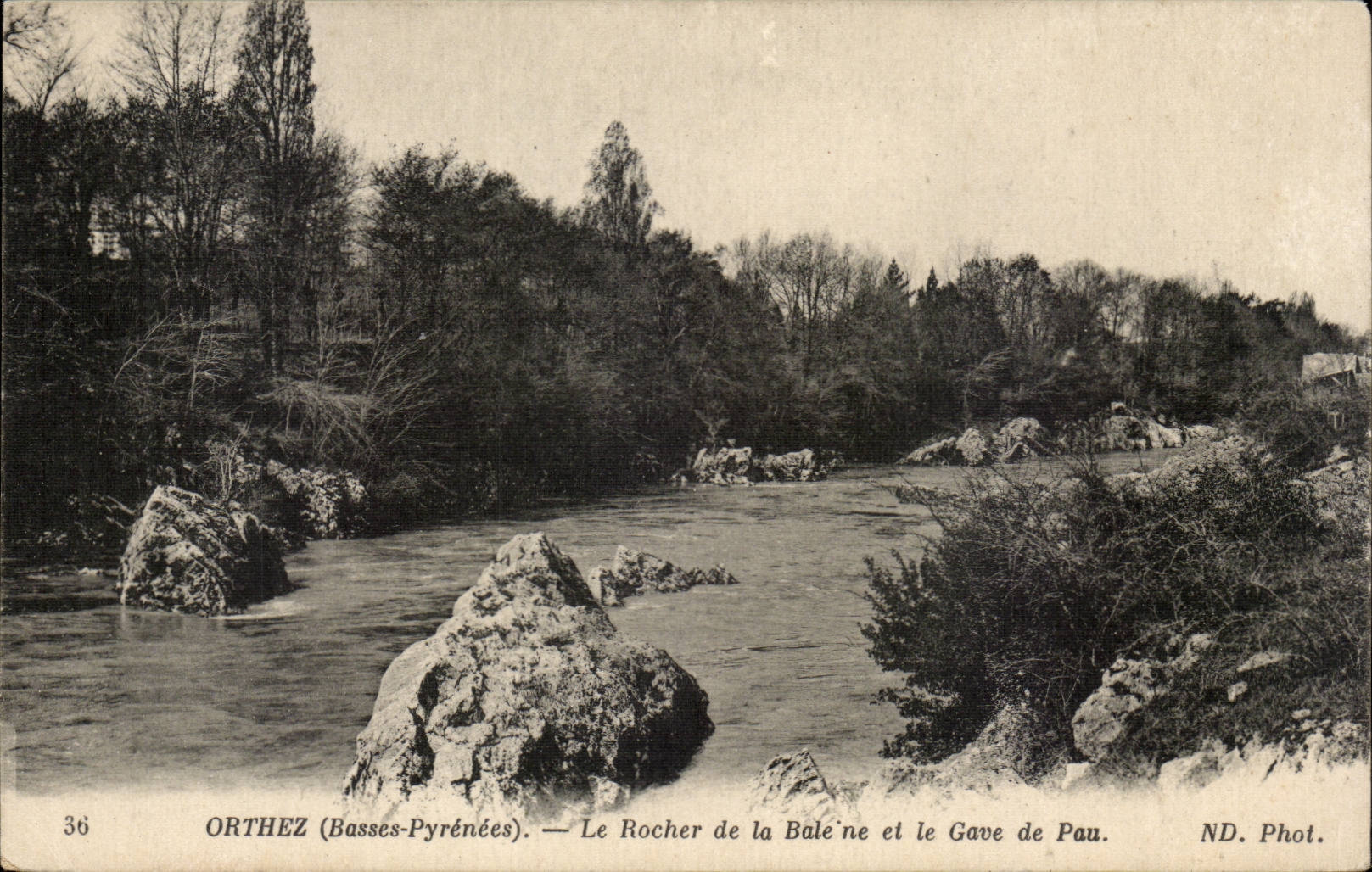 CPA Orthez the rock of the Whale and Gave of Pau