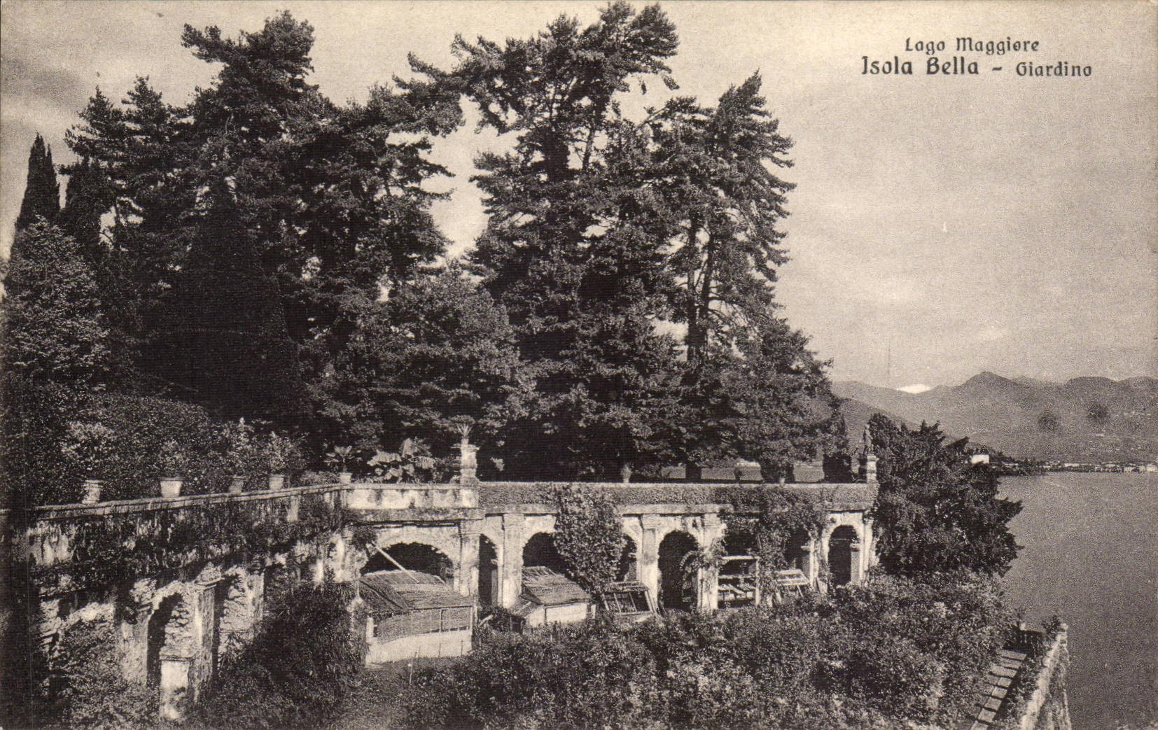CPA Italien Italien Lago Maggiore Giardino dell Isola blokte