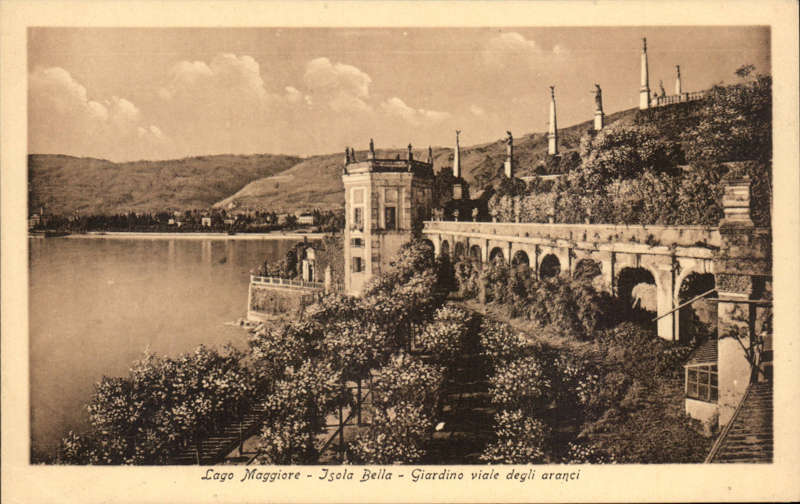 CPA Italien Italien Lago Maggiore Giardino viale degli Aranci