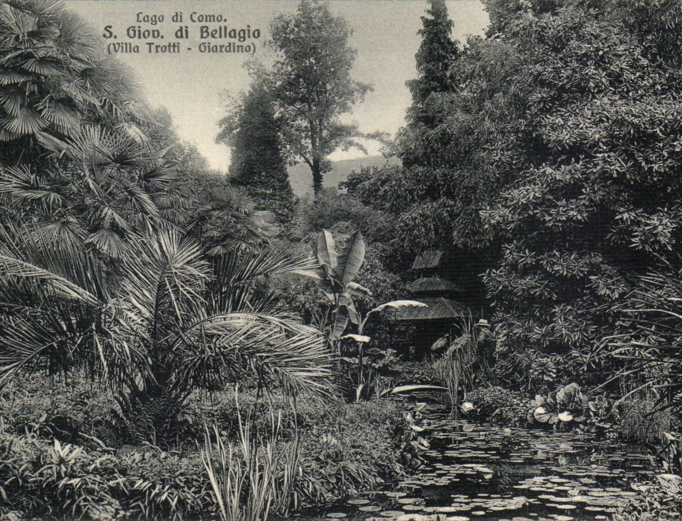 CPA Italien Italien Lago di Como S Gion Di Bellagio-Landhaus Trotti Giardina
