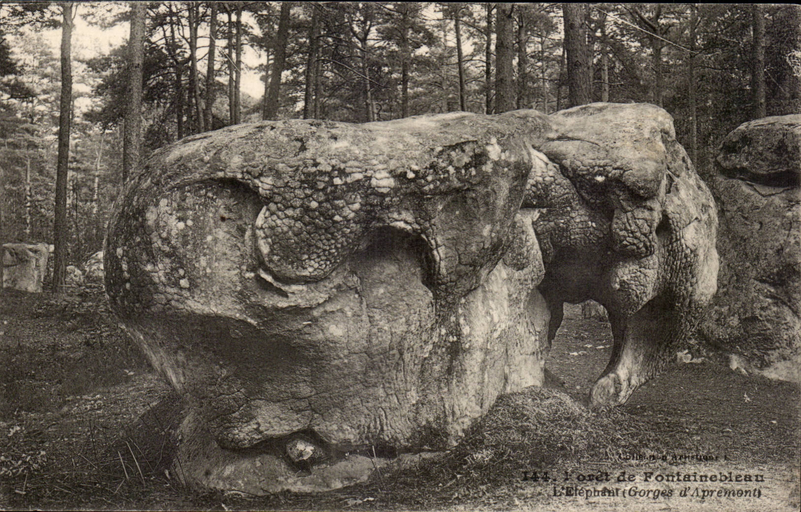 CPA Drill of Fontainebleau the elephant Falls of Apremont