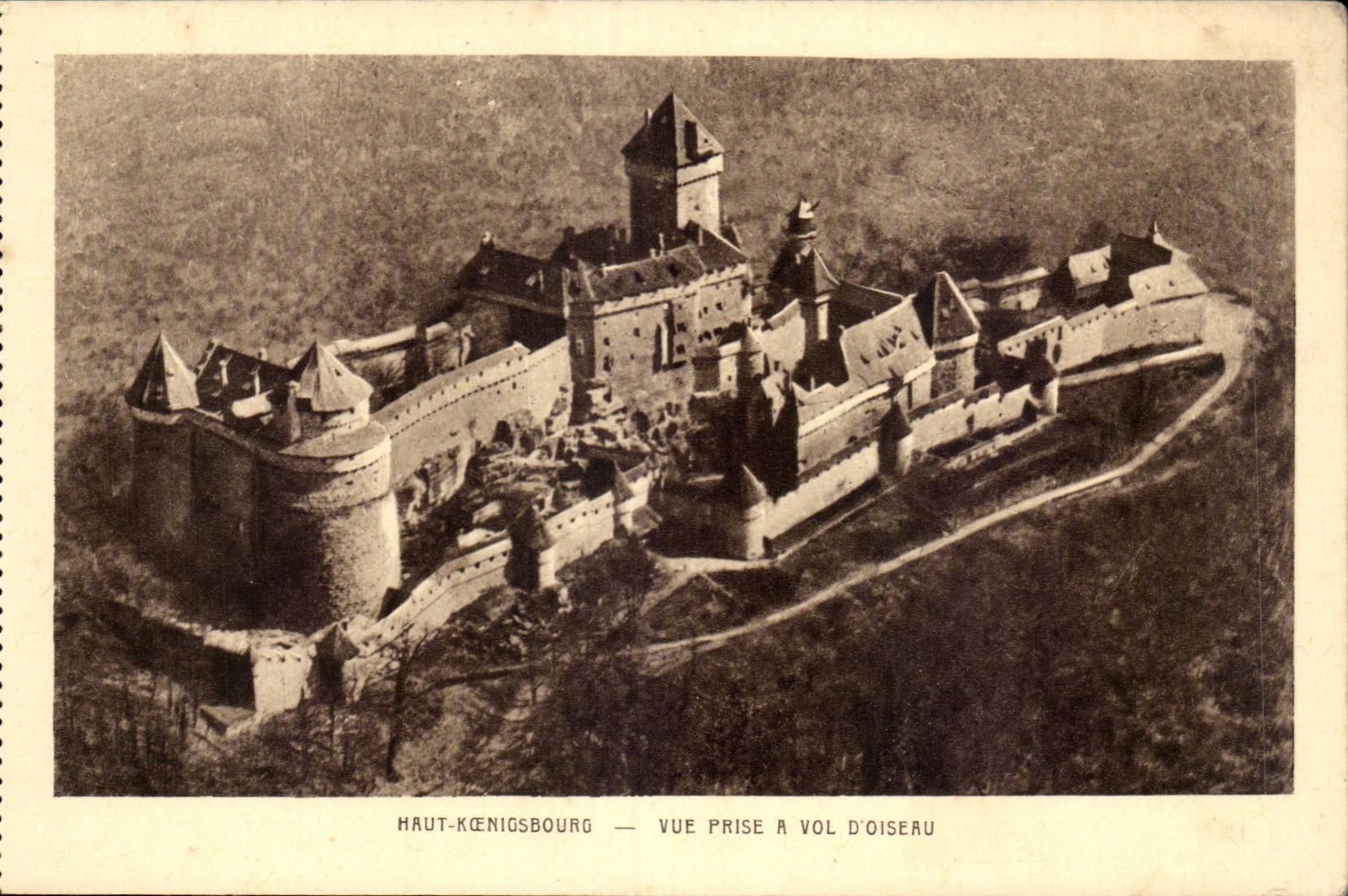 CPA High Koenigsbourg Seen from has flight of bird