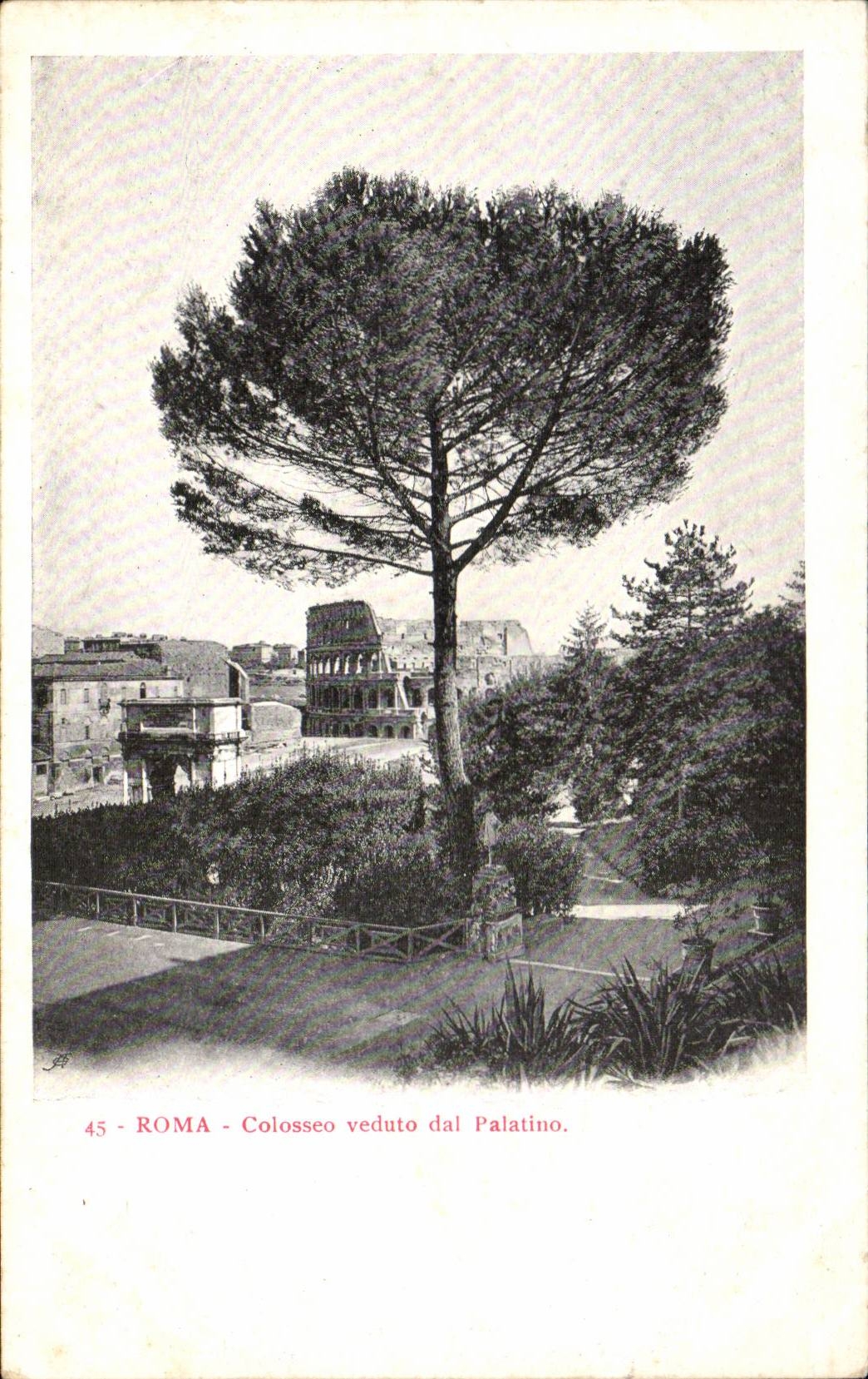 CPA Italien Italien Rom Colosseo veduta Dal Palatino