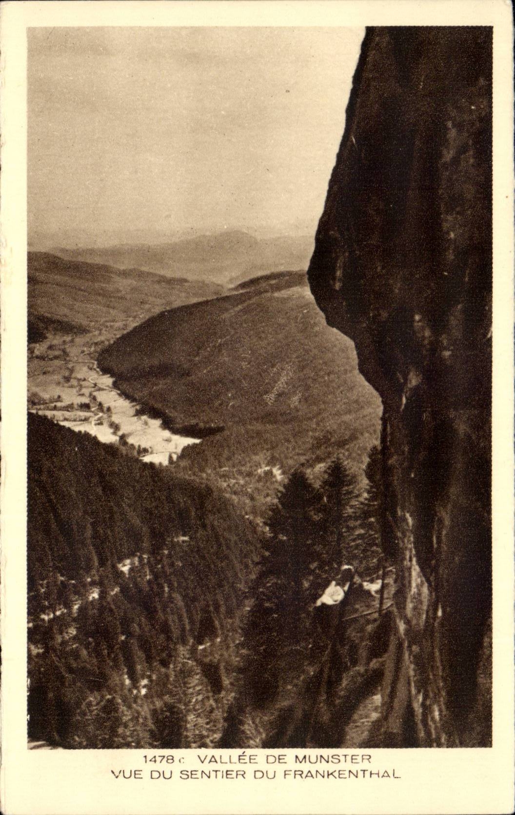 CPA Valley of Munster Seen of the path of Frankenthal