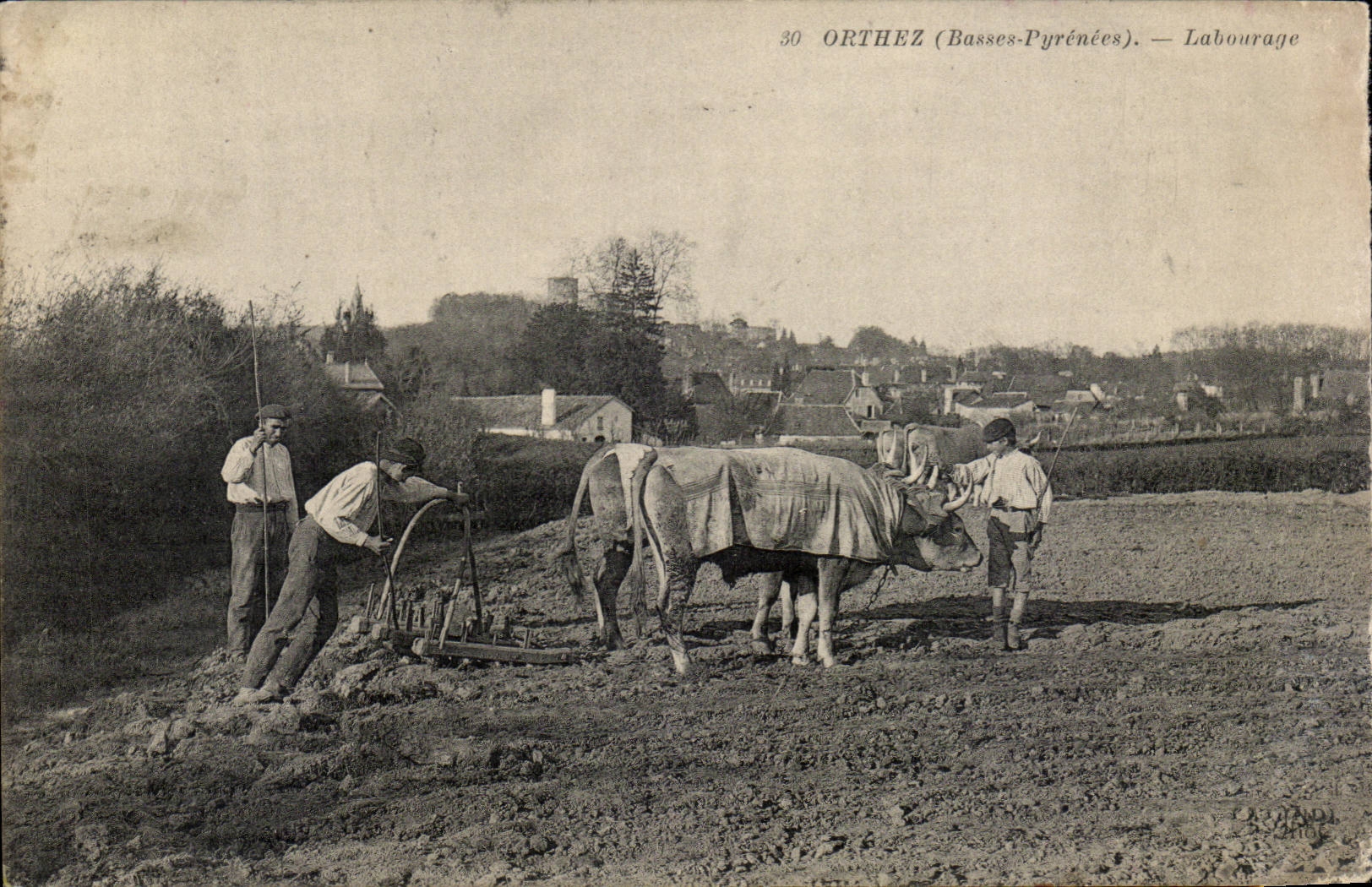 CPA Orthez bebauender Rind-Zug TOP