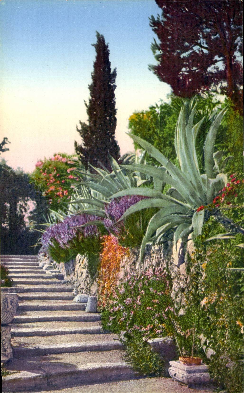 CPA Italien Italien Sanremo Flora della Riviera