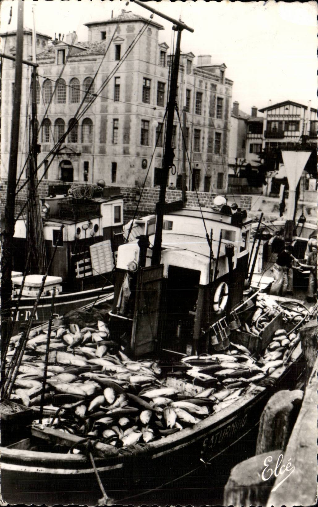 CPSM St Jean de Luz Retour de la peche aux thons