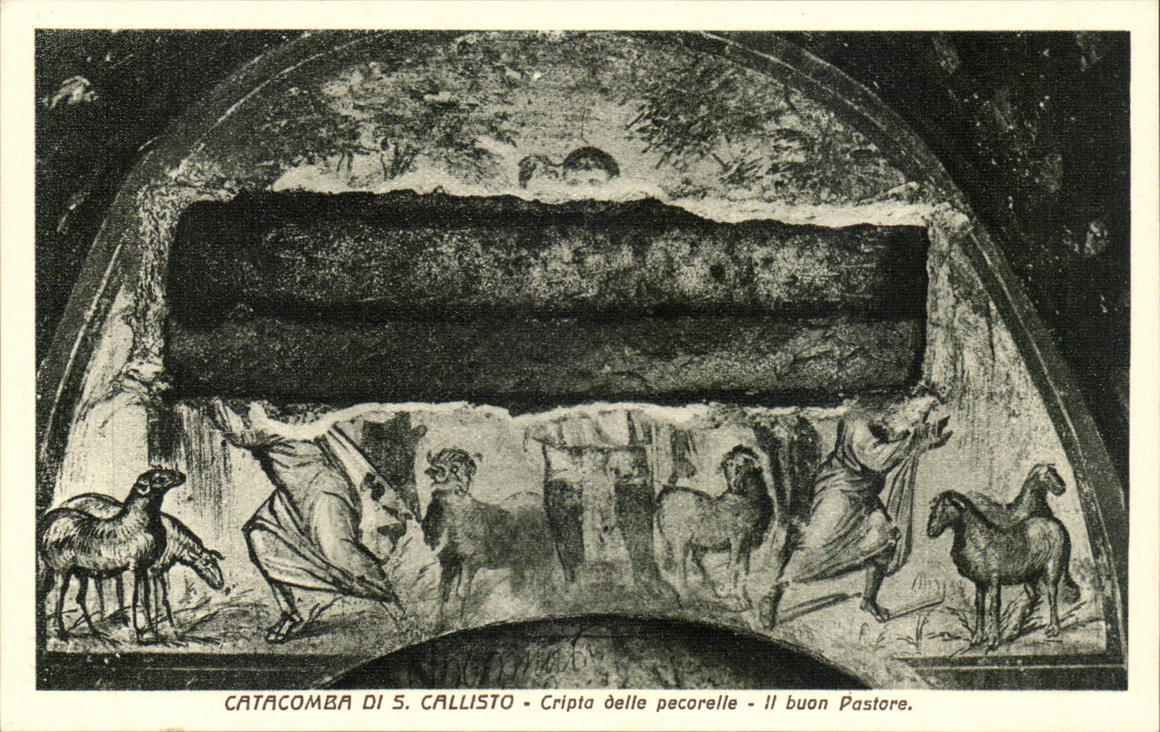 CPA Italien Italien Catacomba di S Callisto Cripta delle percorelle es buon pastore