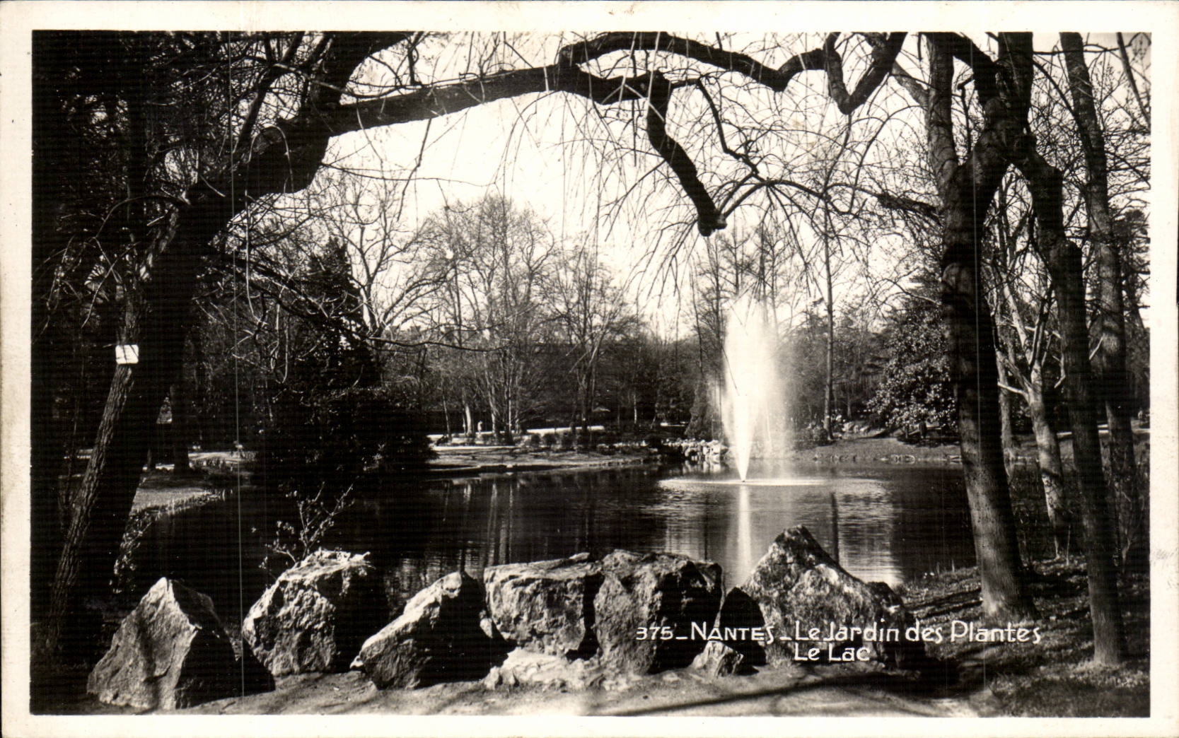 CPSM Nantes the botanical garden the lake