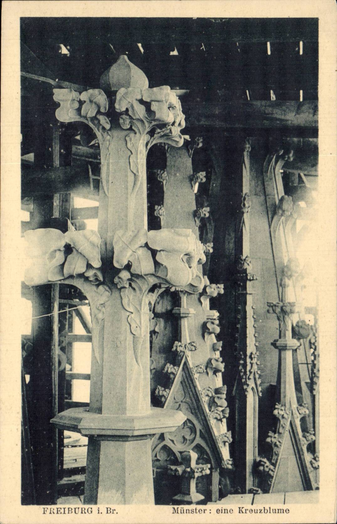 CPA Freiburg Munster eine Kreuzblume