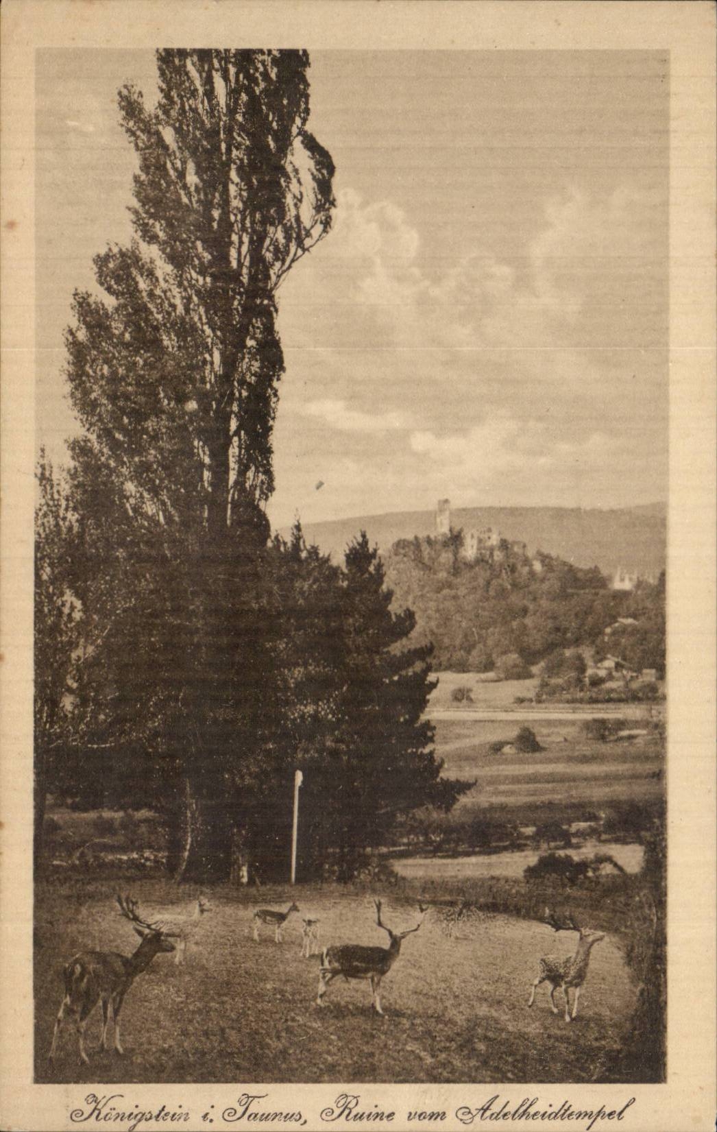 CPA Konigstein U Taunus Ruins vom Adelheitempel