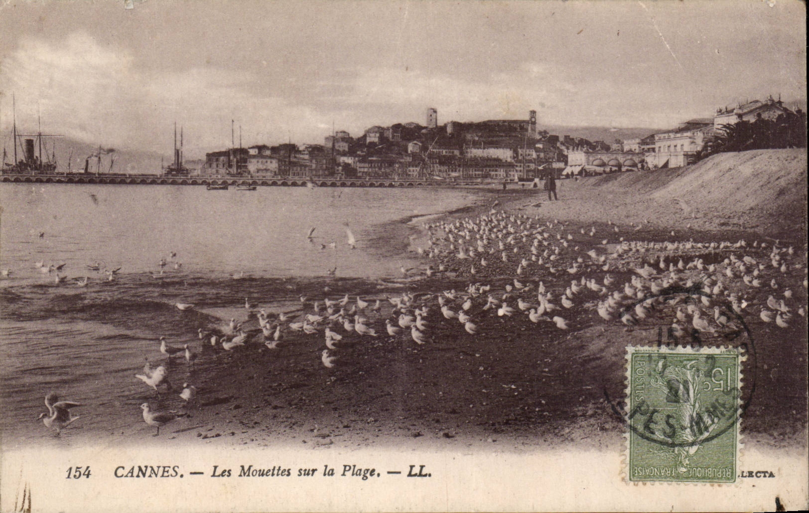 CPA Cannes gulls on the beach