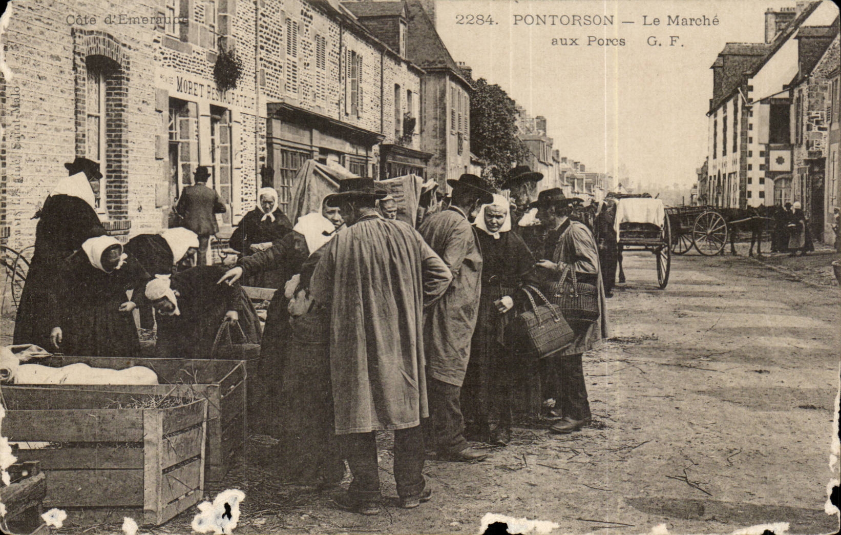 Pontorson CPA Market with the pigs Pigs TOP