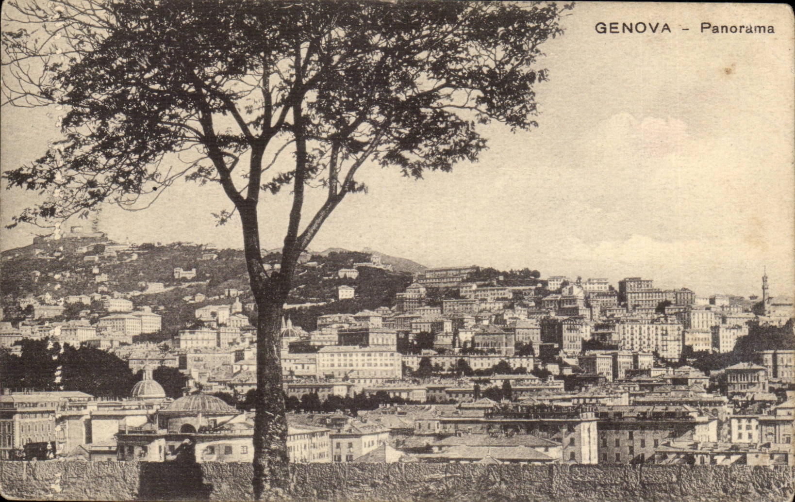 CPA Italy Italia Genova Panorama