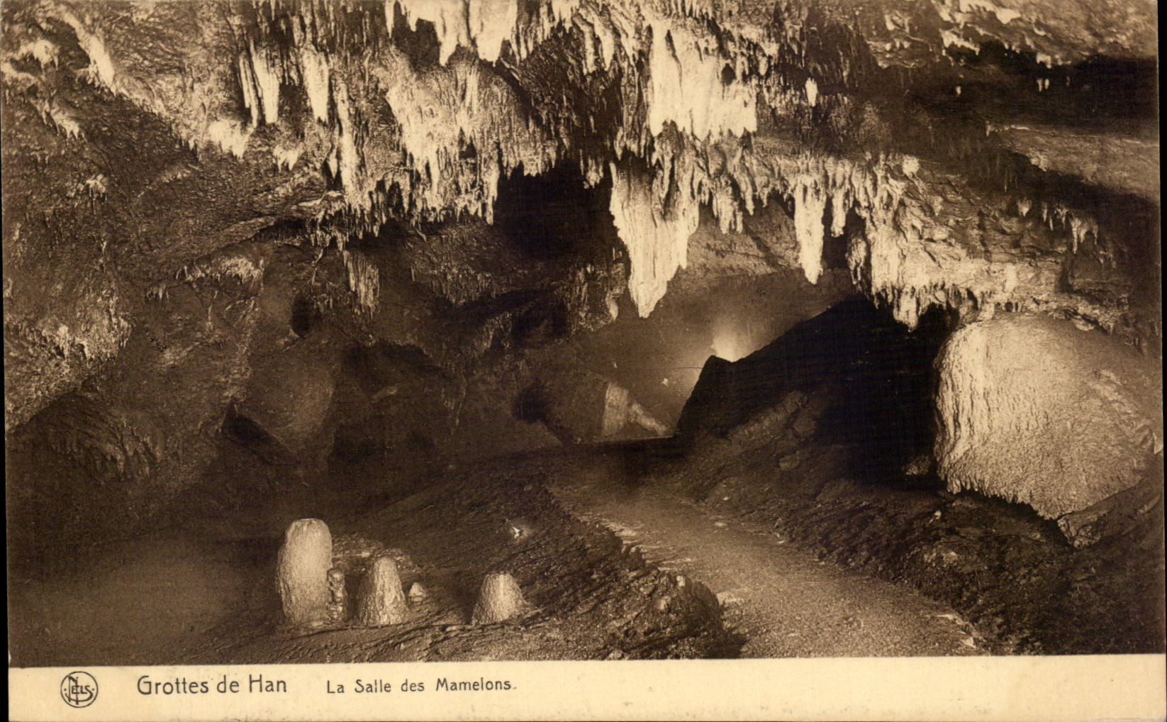 CPA Belgium Caves of Han the room of the nipples