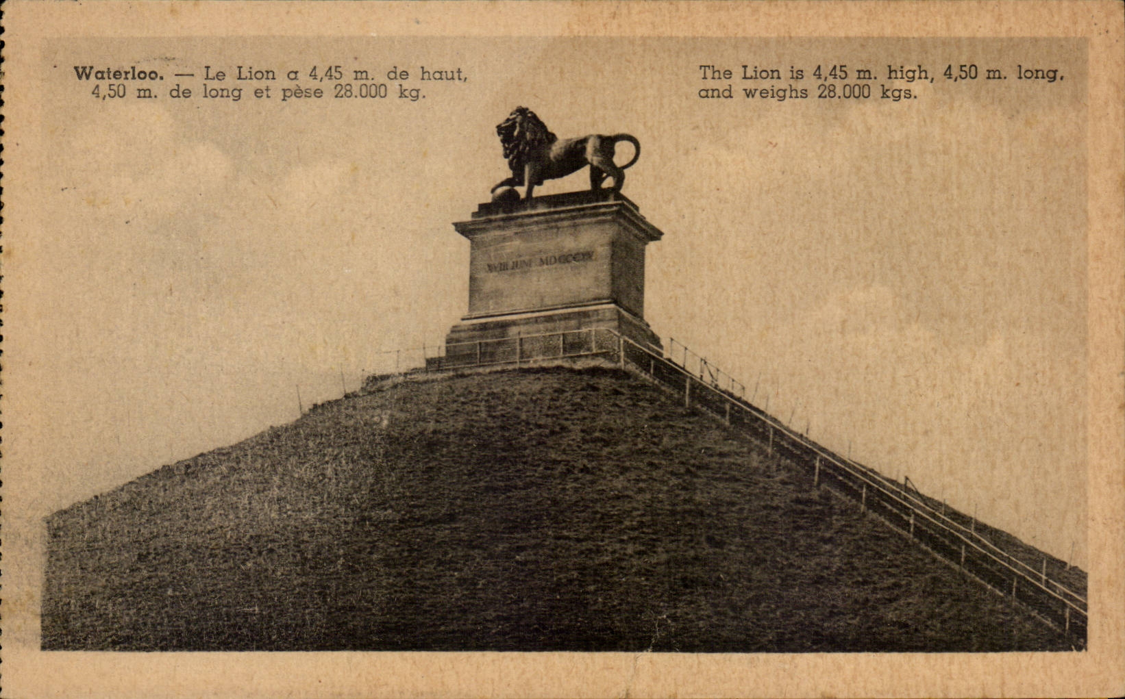 CPA Belgique Waterloo Le lion a 4 45 m de haut