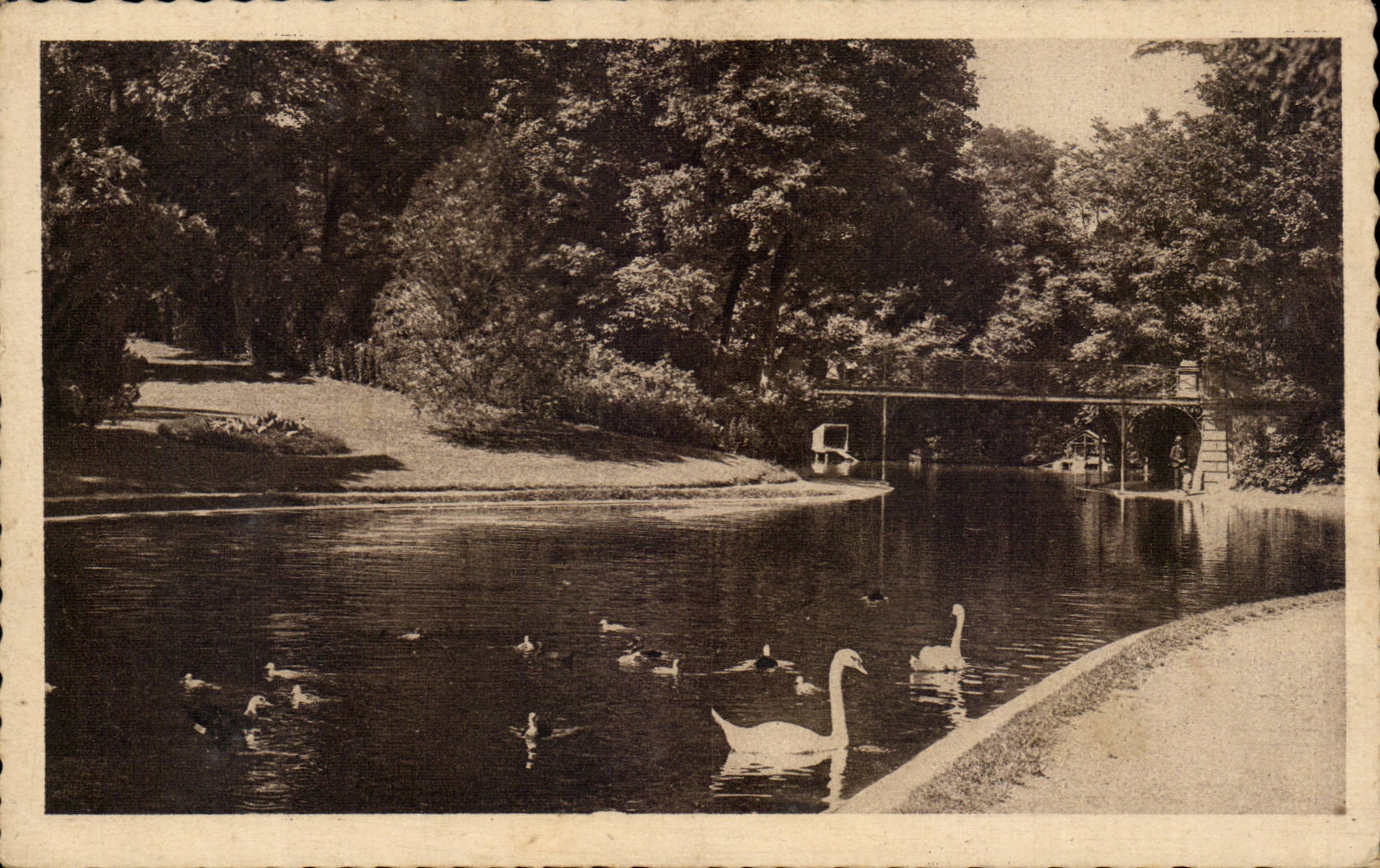 CPA Clermont Ferrand the lake of the Lecoq garden