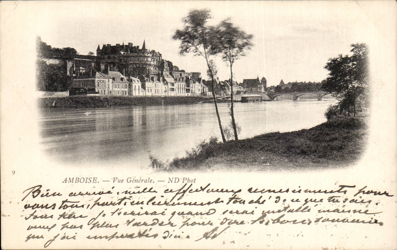 Amboise CPA Le chateau Vue generale