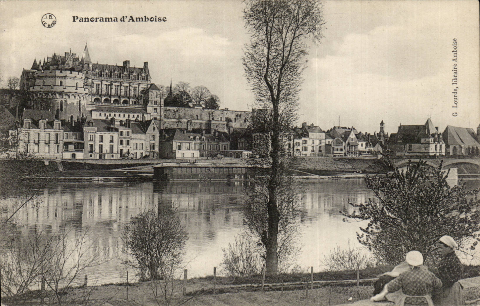 Amboise CPA Le chateau Panorama 