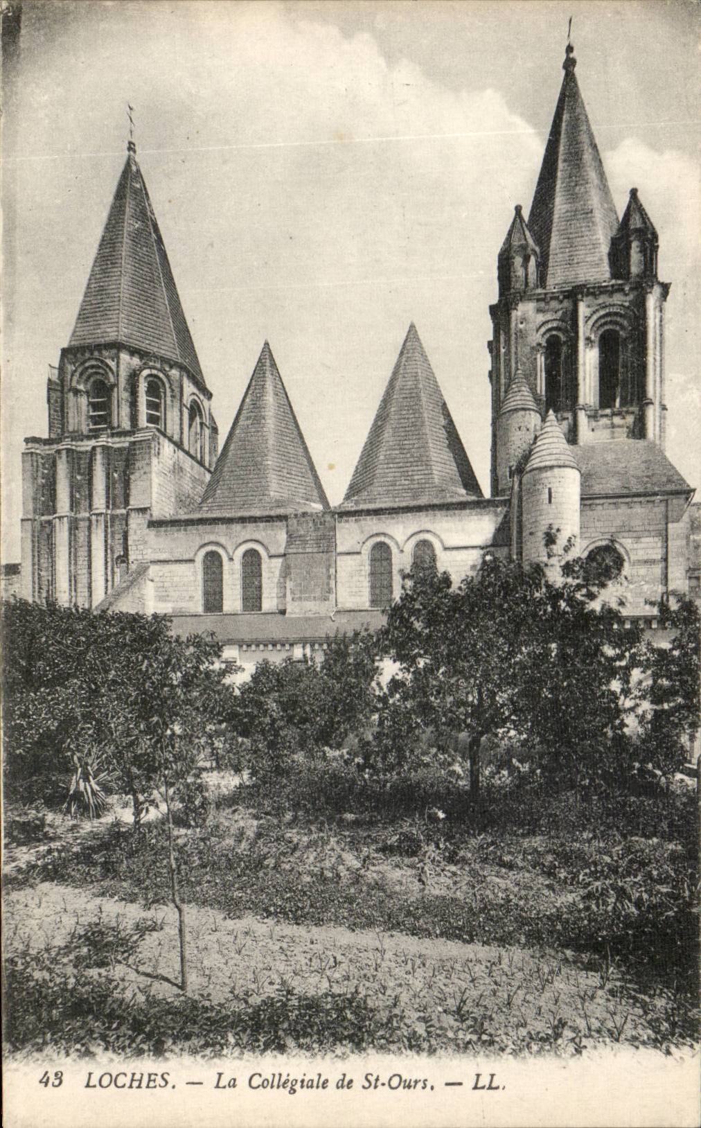 Loaches CPA the collegial one of St bear