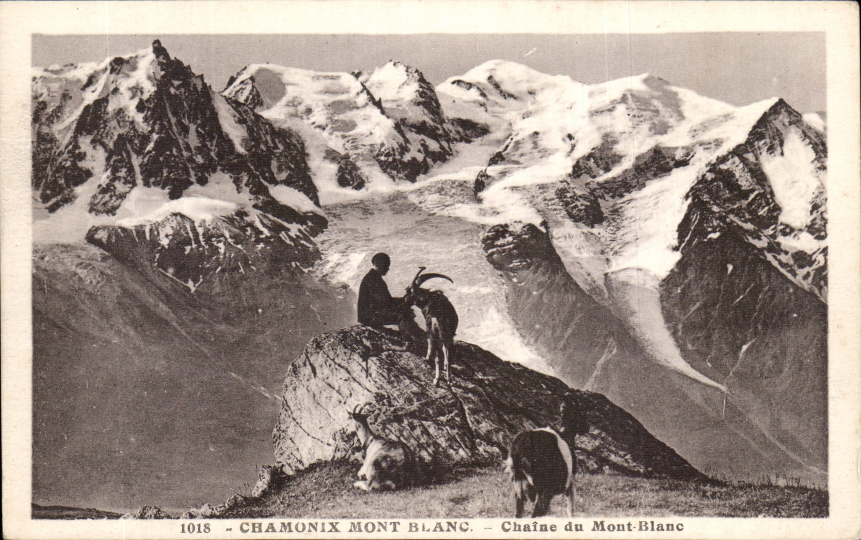 CPA Chamonix Mont Blanc Chaine du mont Blanc