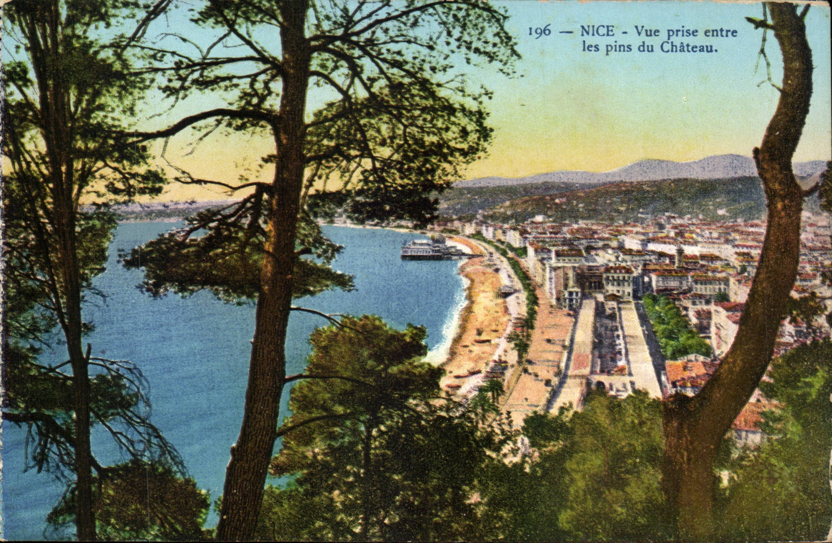 Nice CPA Seen from between the pines of the castle