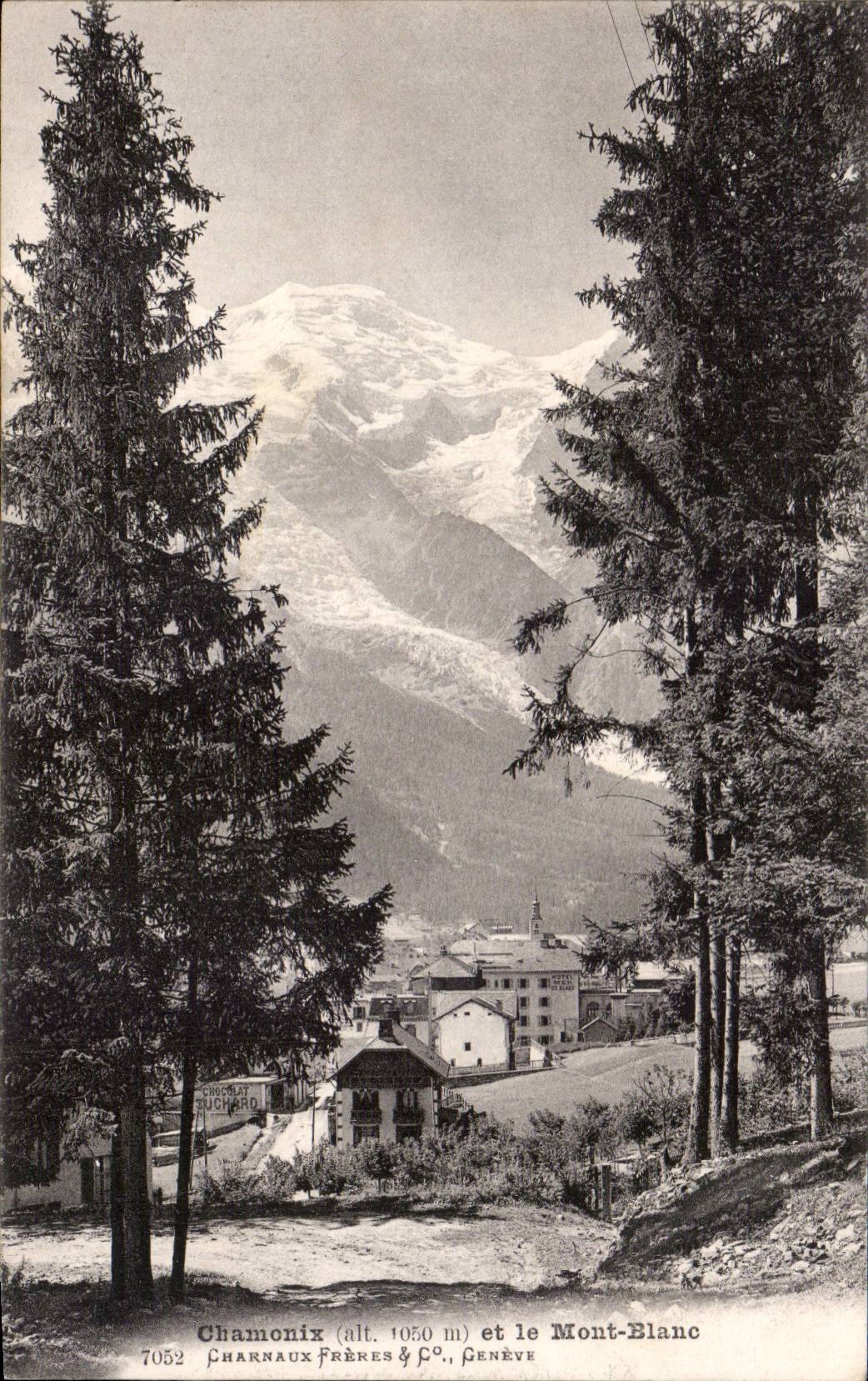 CPA Chamonix et le Mont Blanc