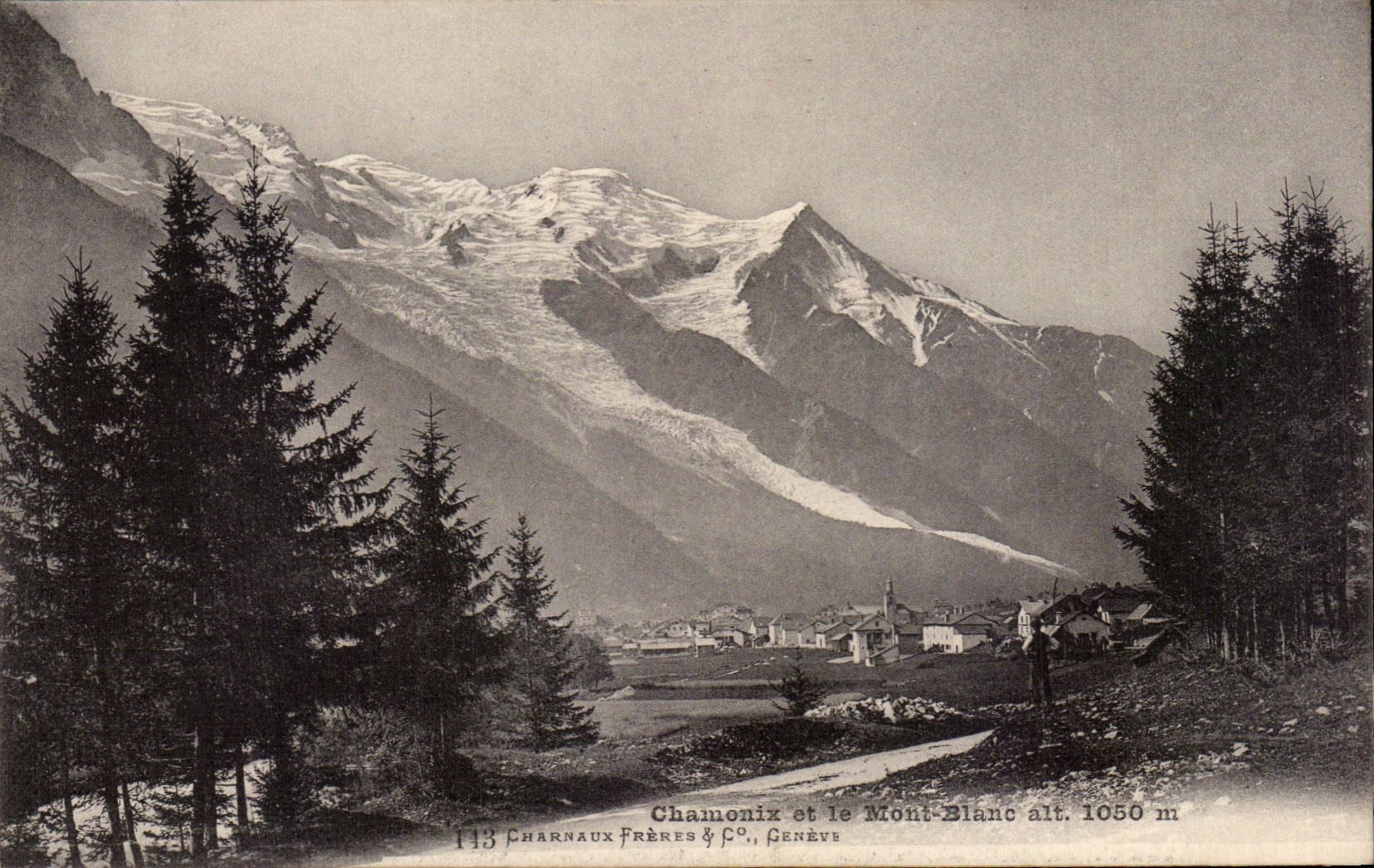 CPA Chamonix et le Mont Blanc