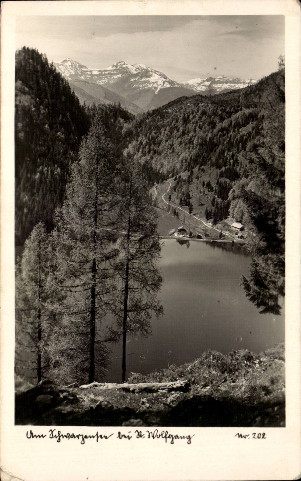 CPA Schwarznesee bei St Wolfgang