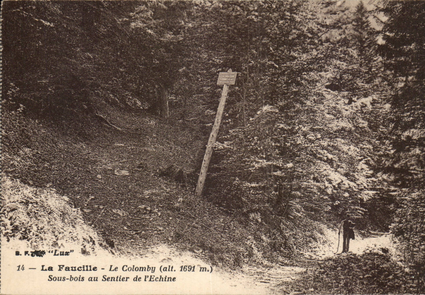 CPA the Sickle Colomby (1691m) Under wood with the path of the spine