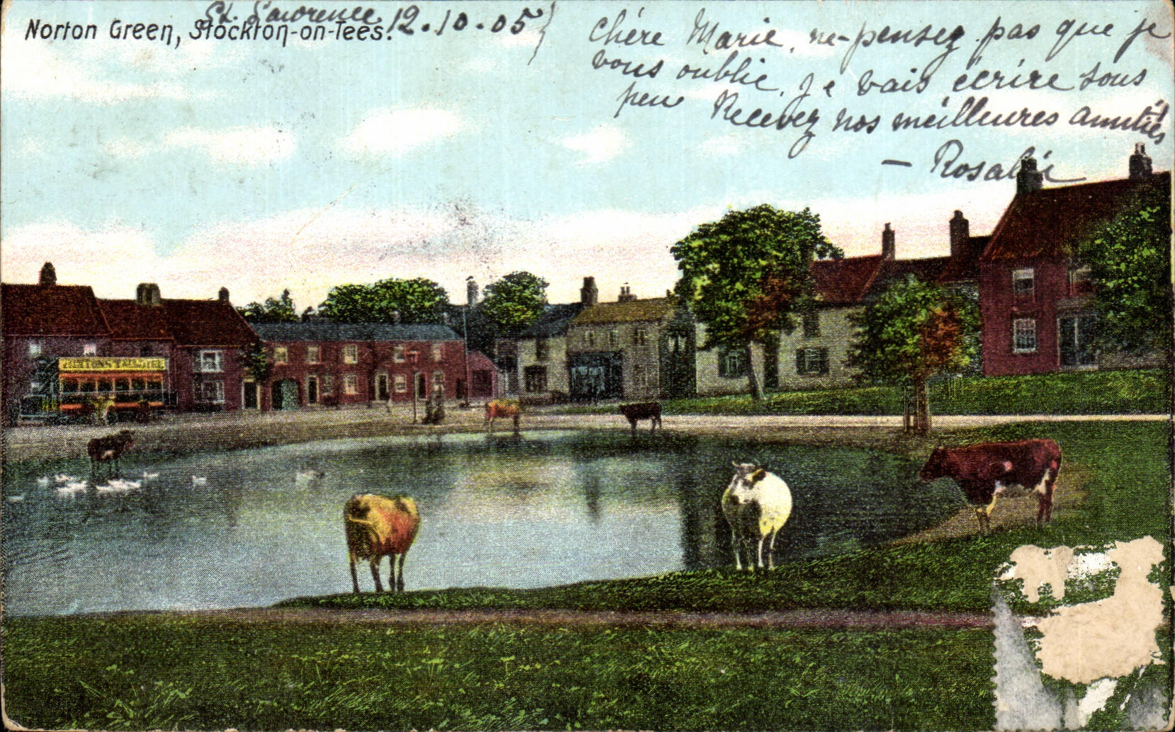 England - England - Isle off Wight - Norton Green - Stockton one lees - CPA