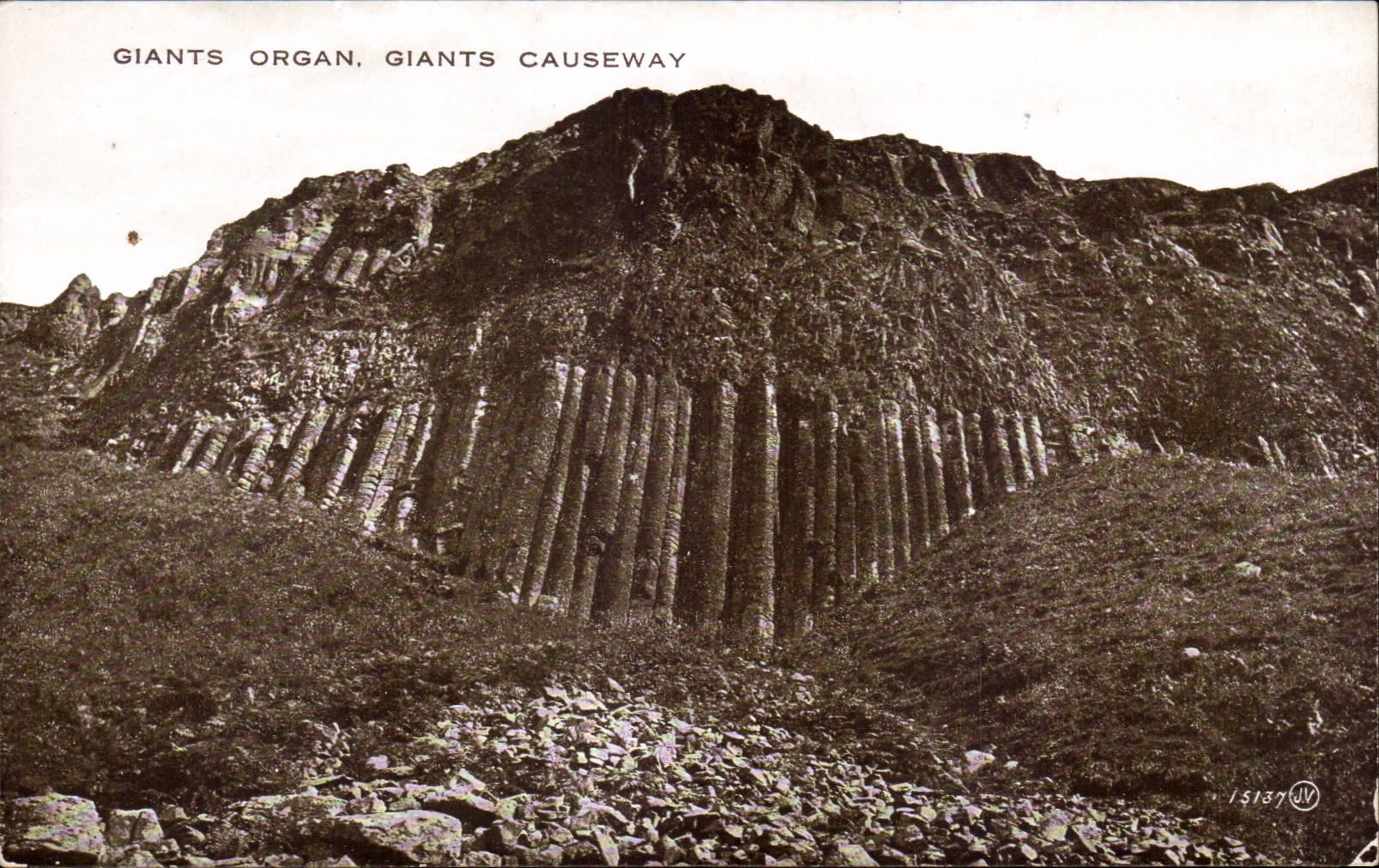 Ireland - Dunluce Castle - Giants Causeway - Giants Organ - Organ - CPA