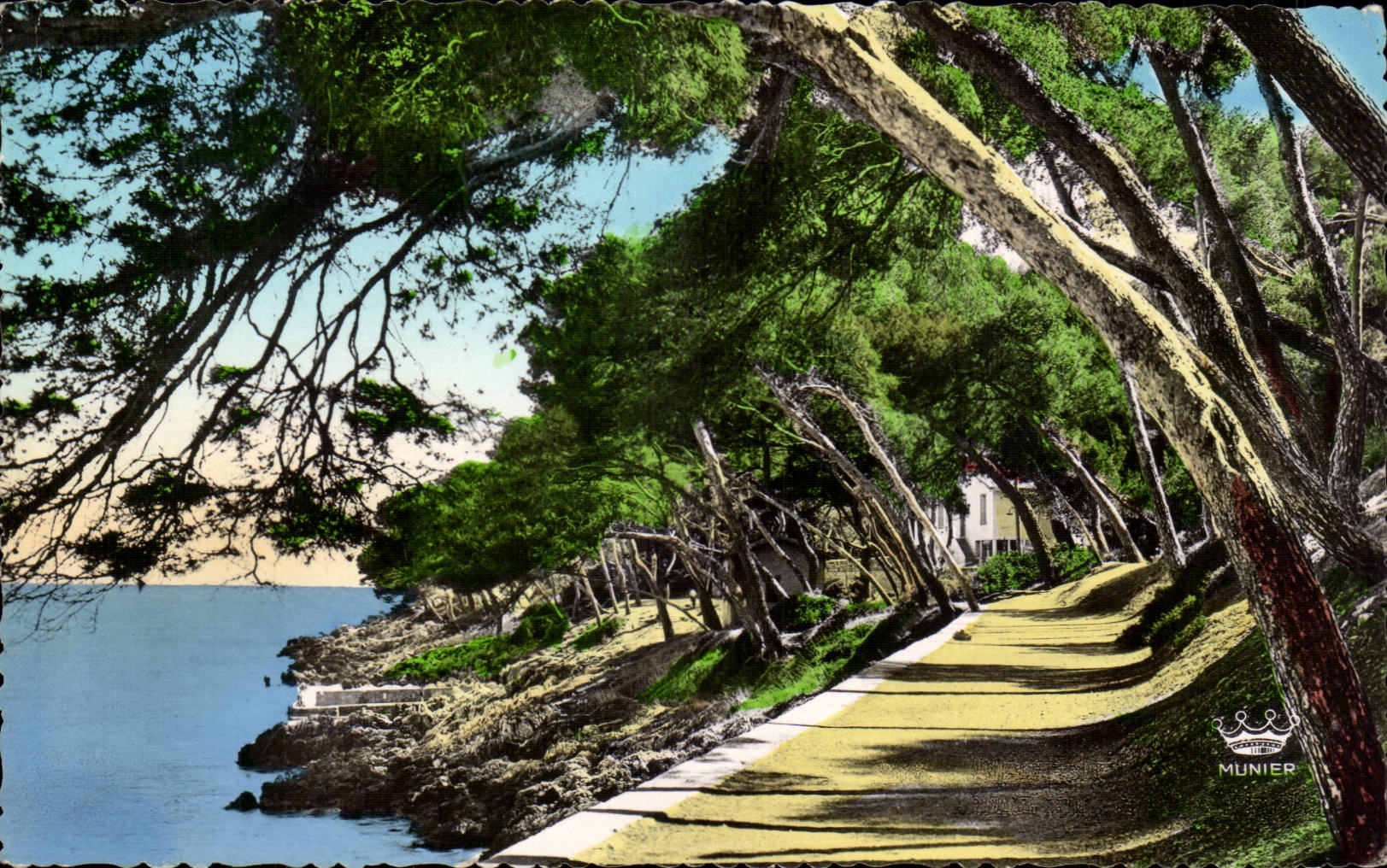 Menton - Under wood in the Cape Martin - CPA