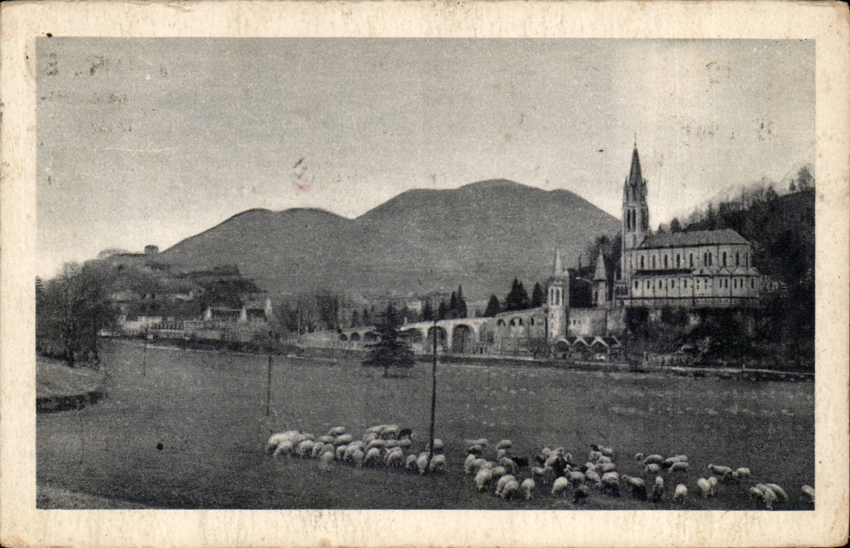 Lourdes - the Basilica - Peak of Jer - sheep - sheep - CPA