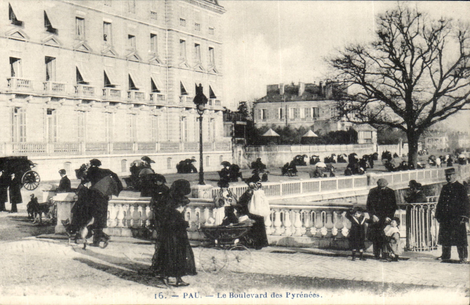 Pau - die Prachtstrasse der Pyrenees - CPA