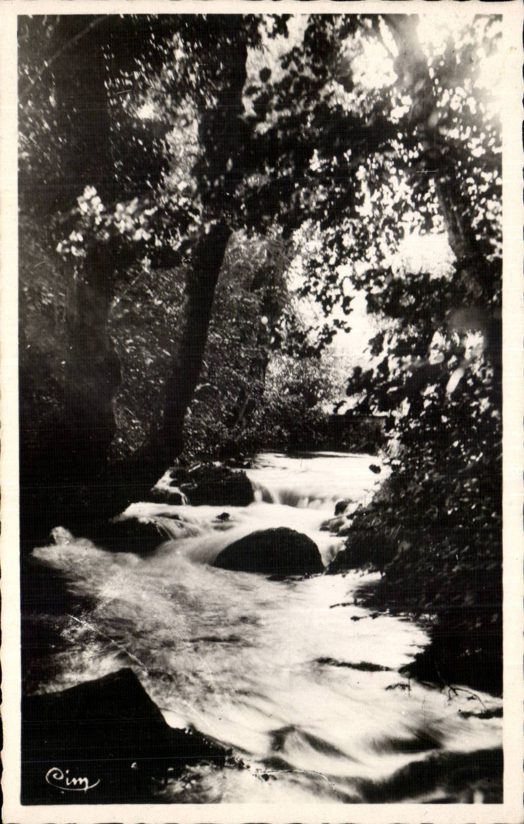 CPA Divonne les Bains La Divonne sous bois
