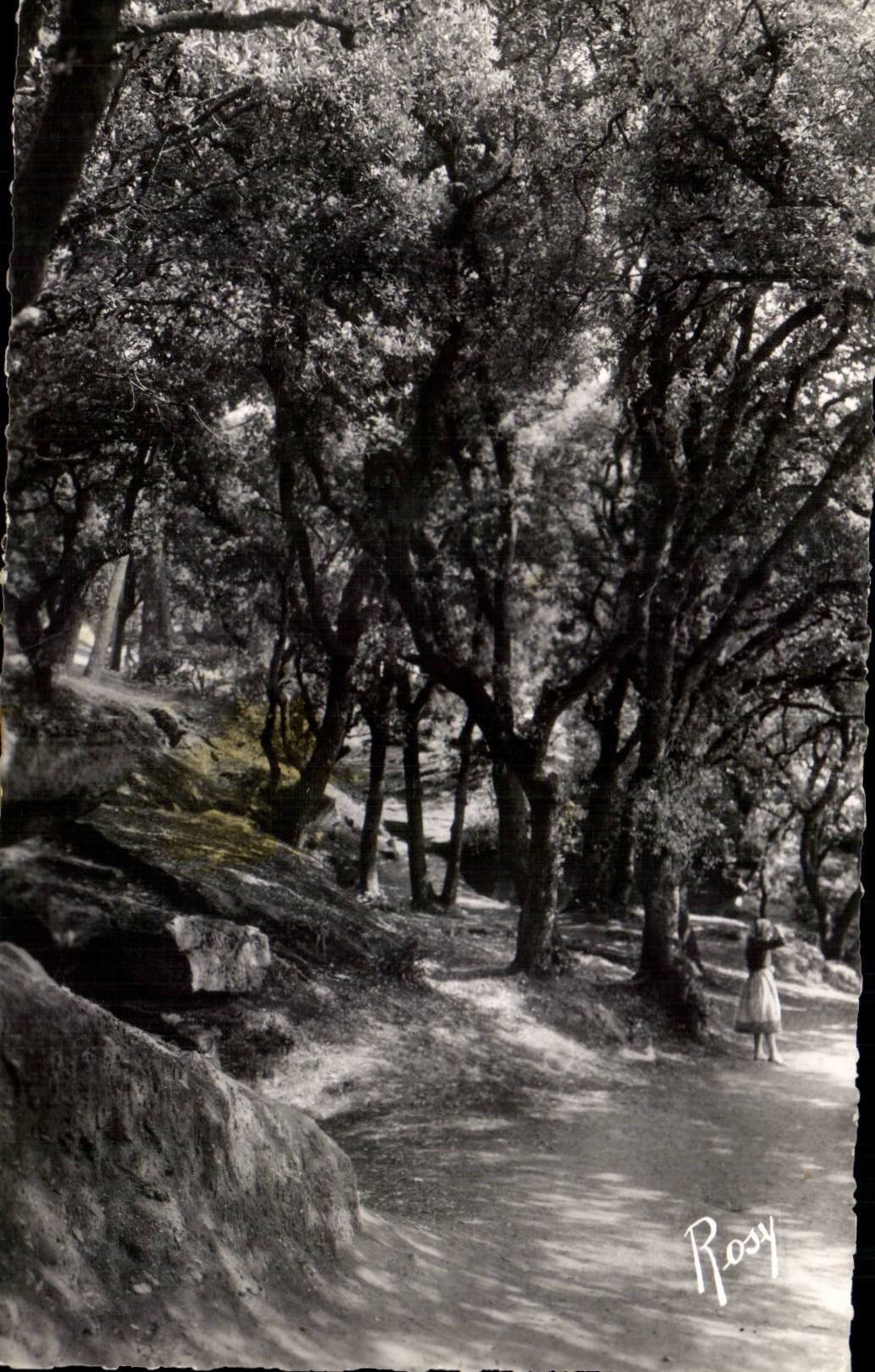 CPSM Noirmoutier With das Holz der Chaize Flu?inseleichen