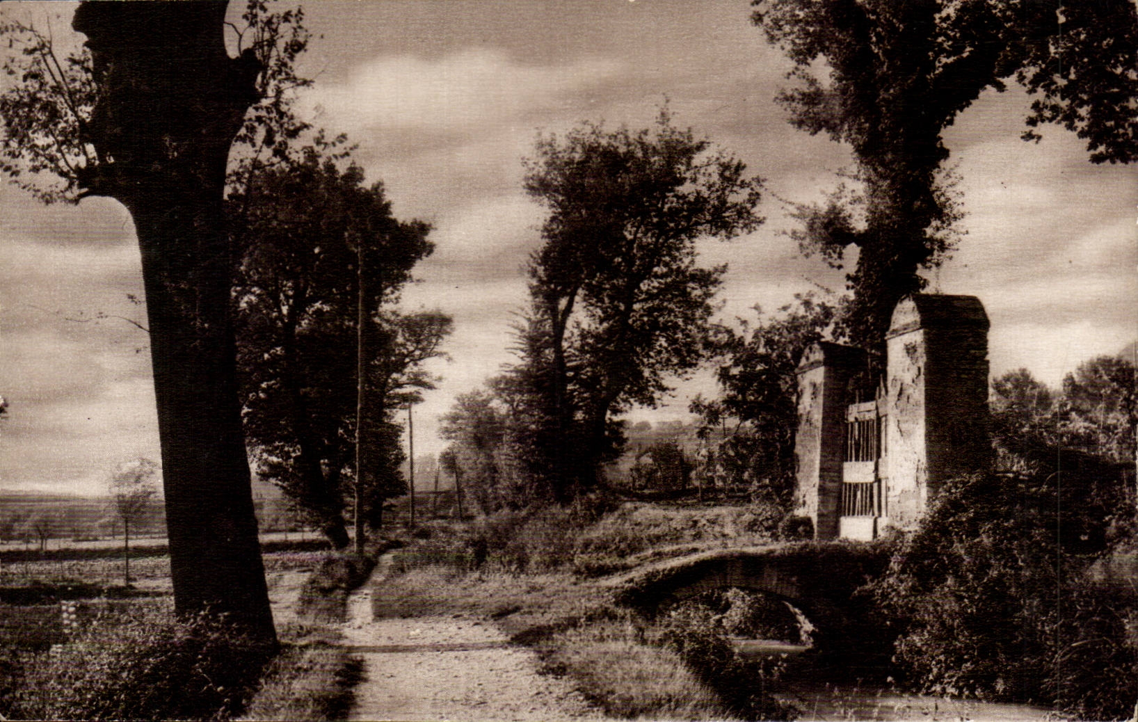 CPA Landschaft der Landschaft (nonlocalized)