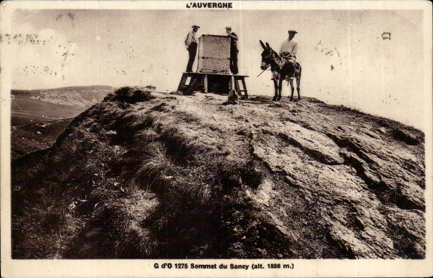 CPA Summit of Sancy ass donkey Auvergne