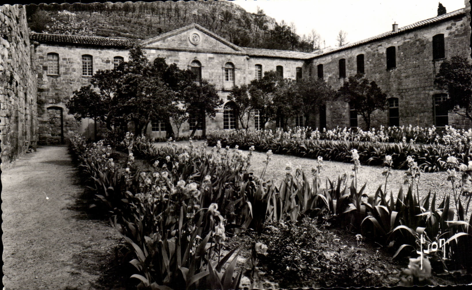 CPA Abbey of Fontfroide Narbonne Apartment of the abbot and court Louis XIV