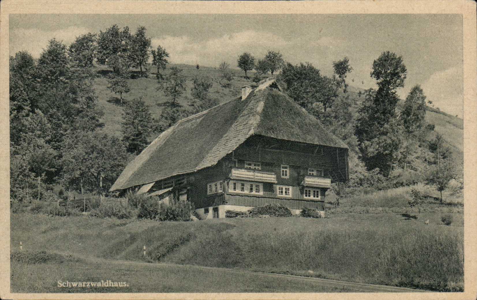 CPA Schwarzwaldhaus