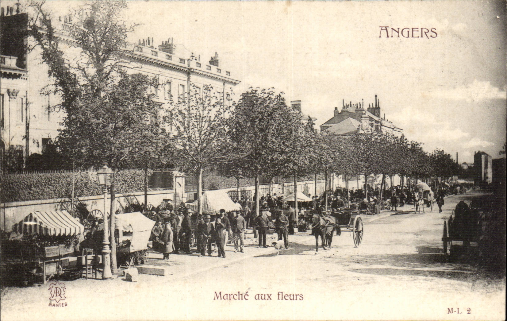 CPA Angers Market with the flowers