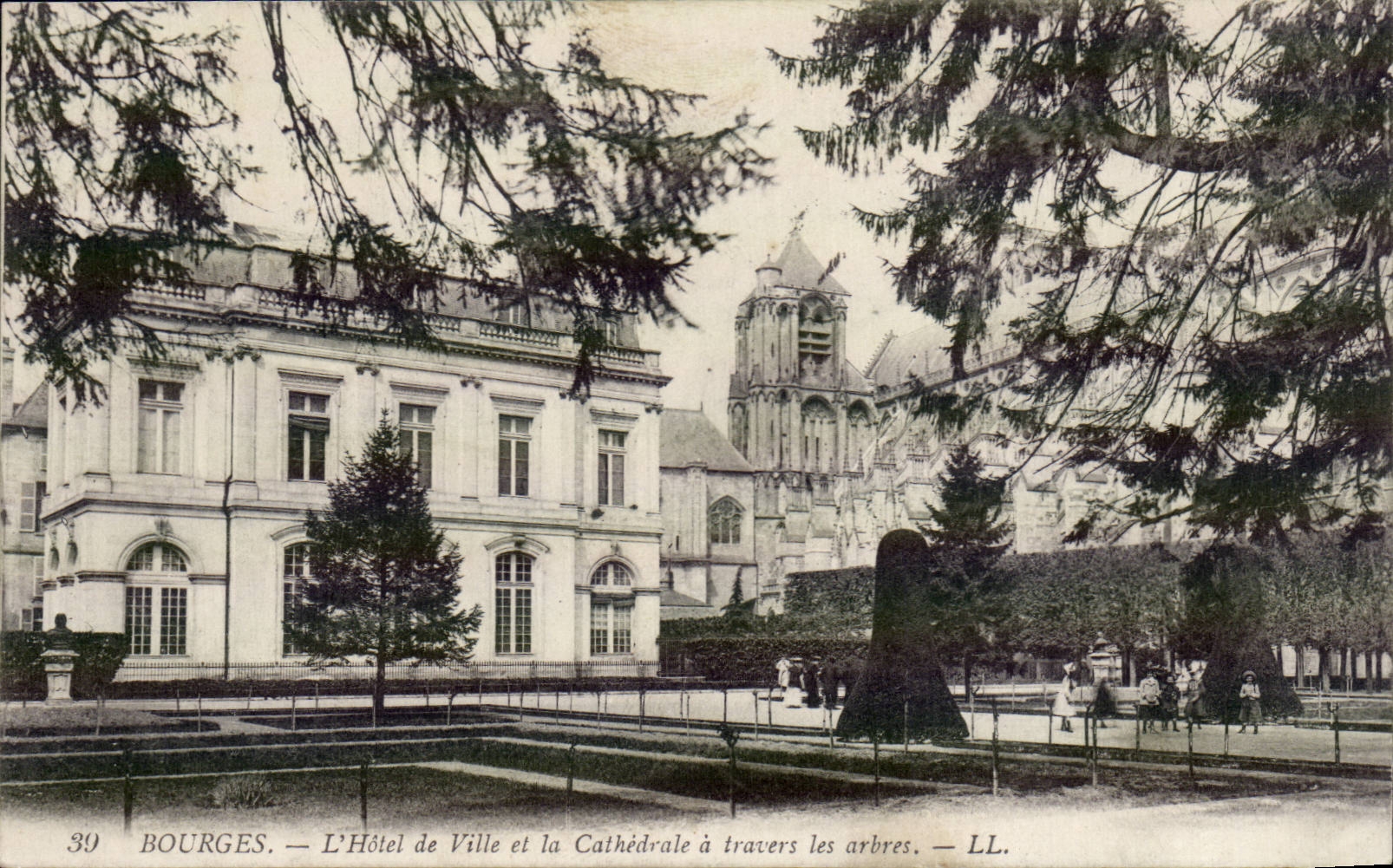 CPA Bourges Rathaus und die Kathedrale durch die Baume