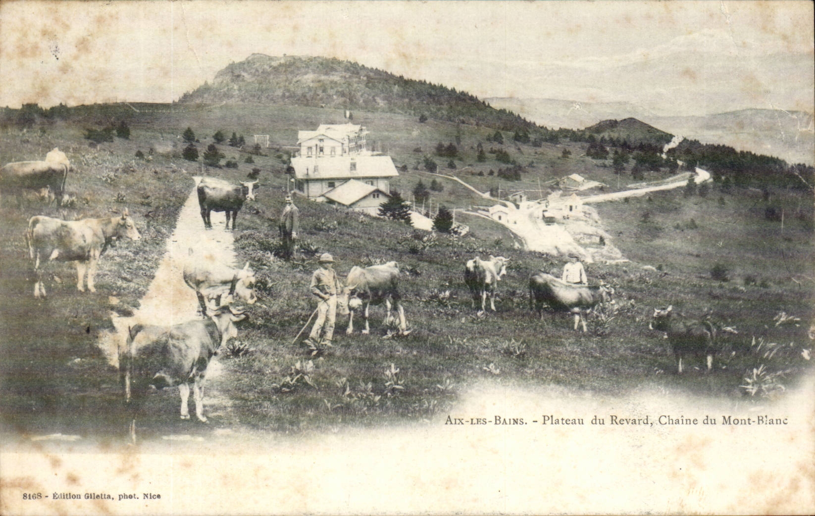 CPA Aix les Bains Plateau of Revard Chains Mount Blanc Cows