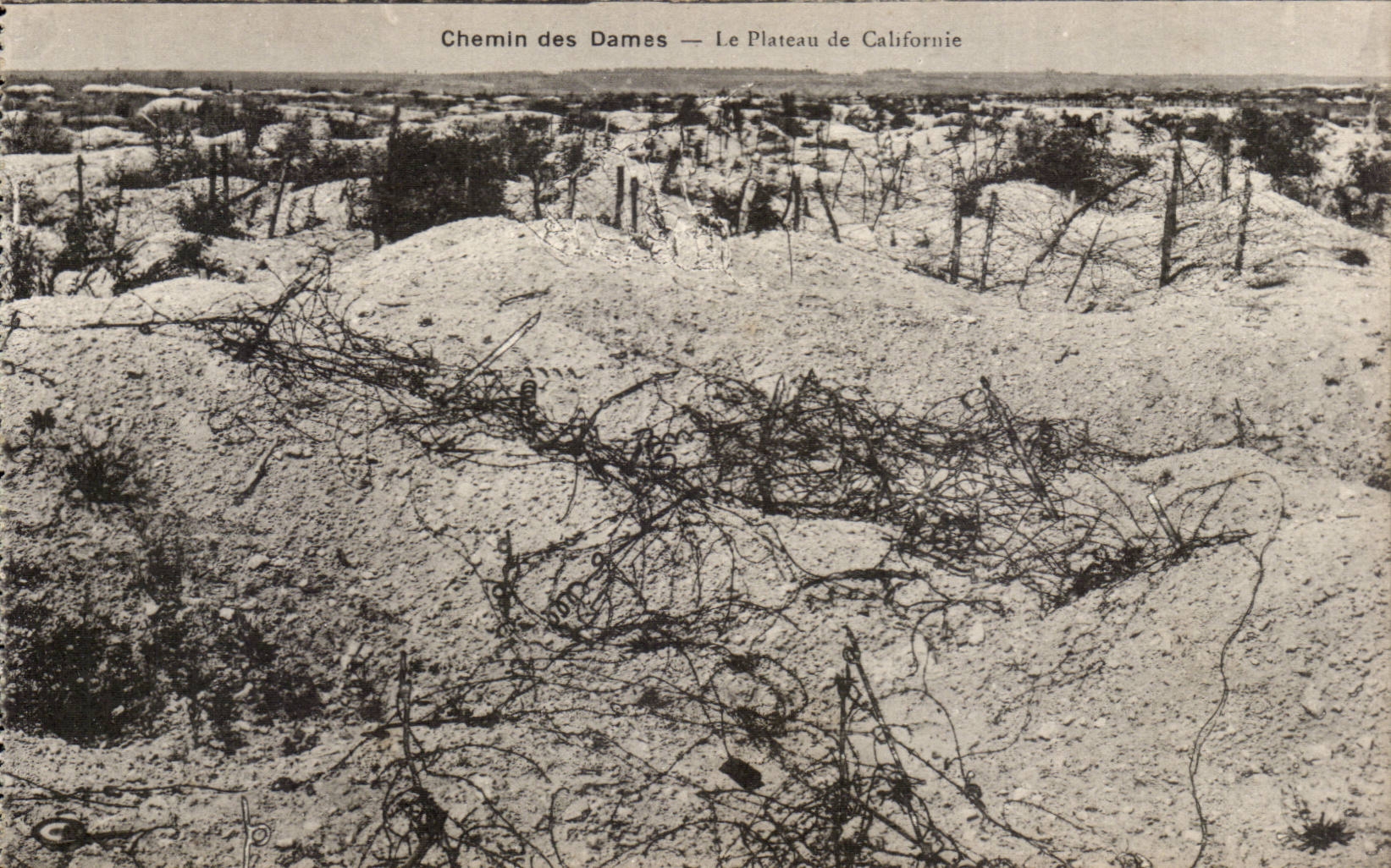 CPA Way of the Ladies the plate of California