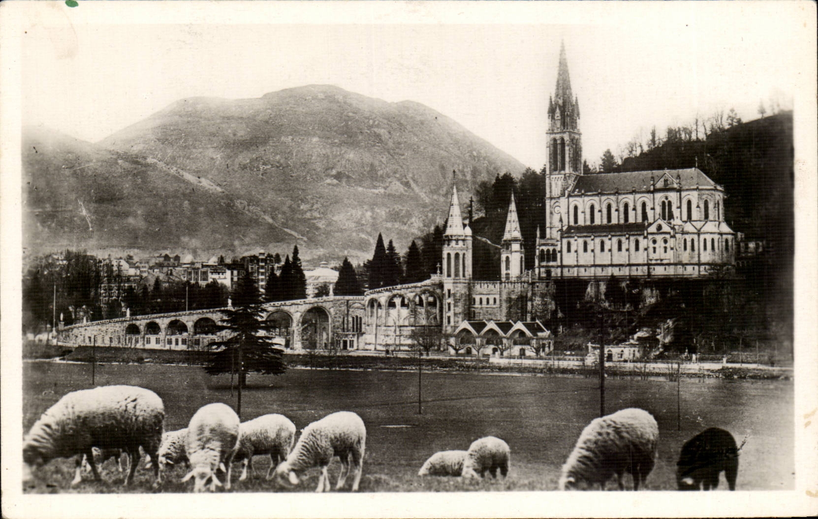 CPSM Lourdes the basilica and the peak of Jer
