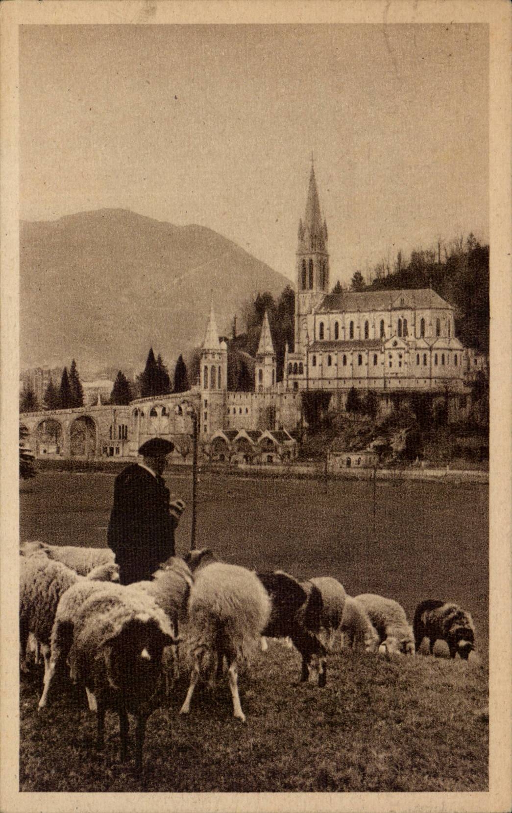 CPA Lourdes the basilica Sheep Sheep