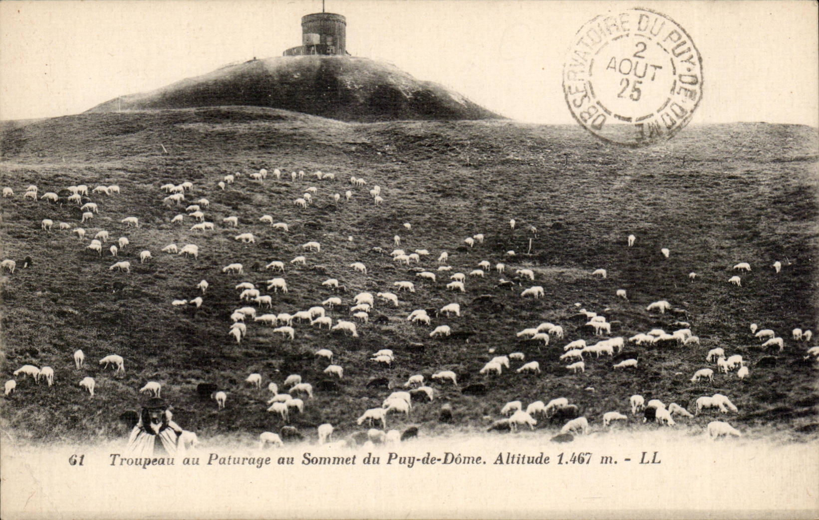 CPA Herd with the pasture at the top of Puy de Dome Sheep