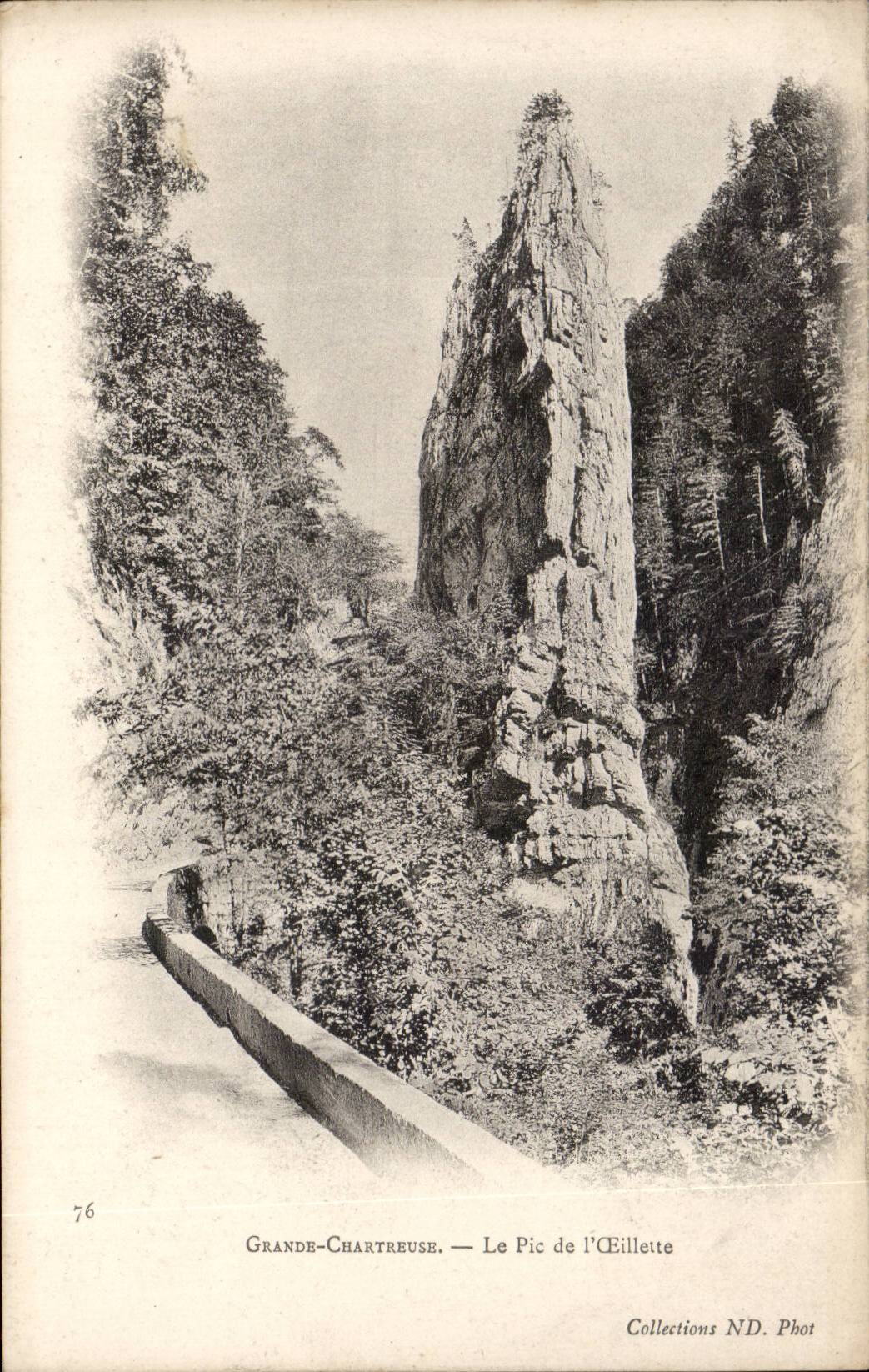 Grosser Dauphine CPA Chartreuse die Spitze der olmohnblume