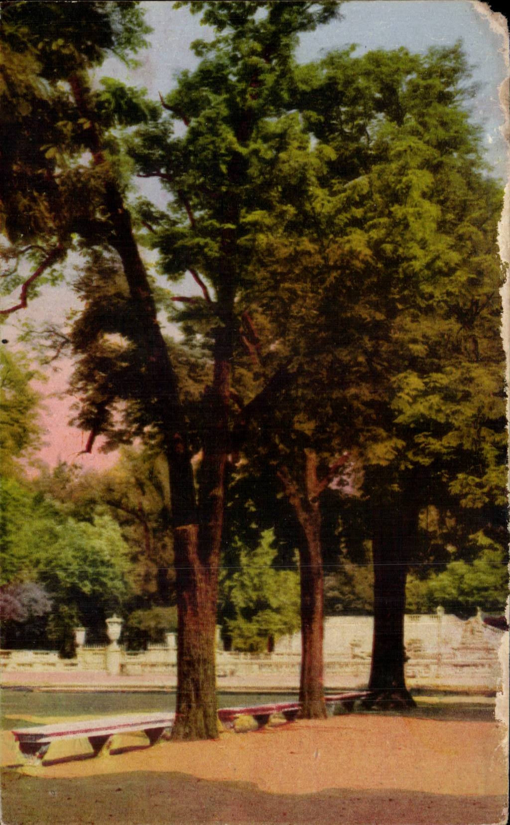 CPA Nimes Garten des Brunnens